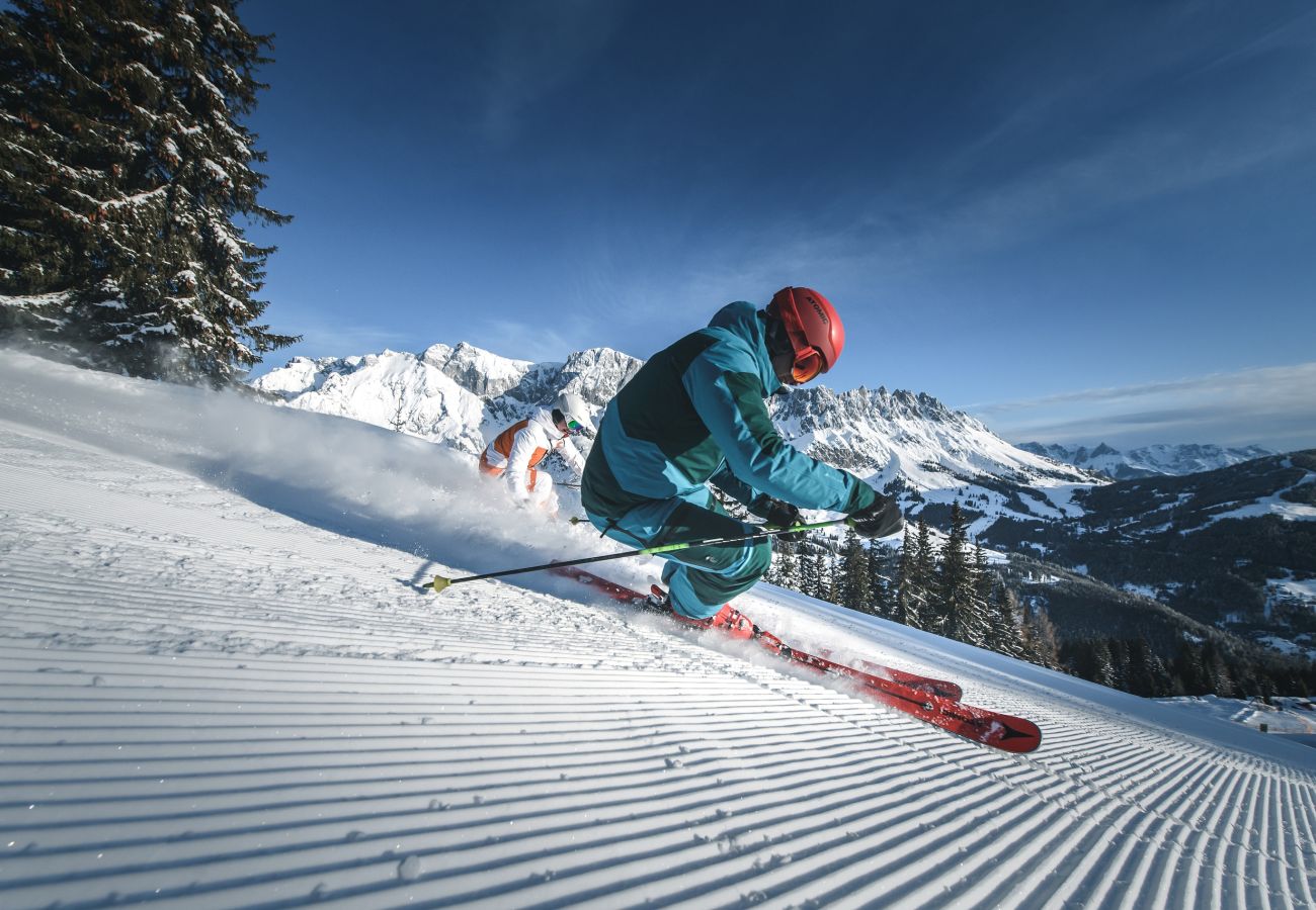 Apartment in Maria Alm am Steinernen Meer - KUCKUCK Hinterthal - Top 5