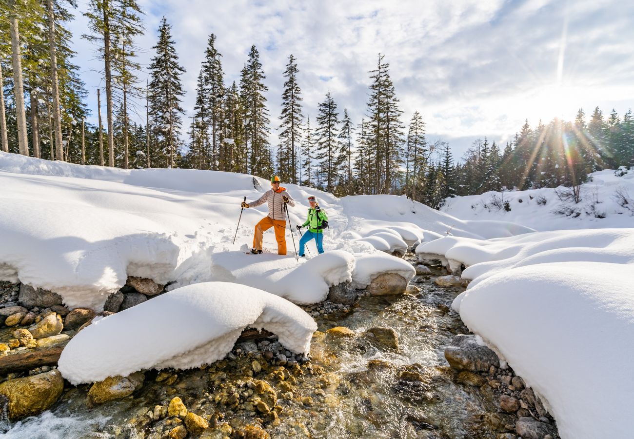 Ferienwohnung in Maria Alm am Steinernen Meer - KUCKUCK Hinterthal - Top 2
