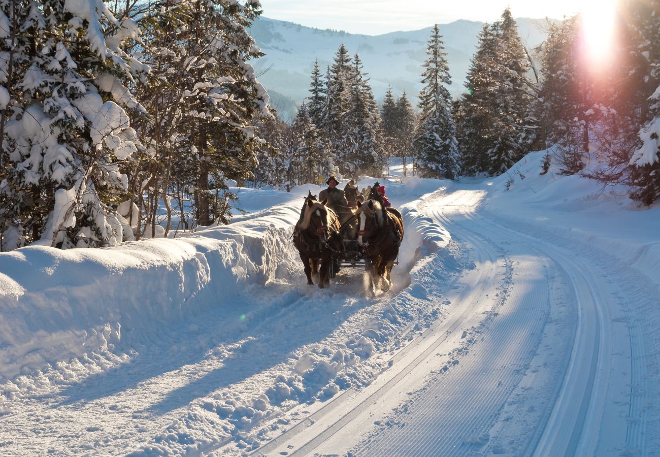 Ferienwohnung in Maria Alm am Steinernen Meer - KUCKUCK Hinterthal - Top 2